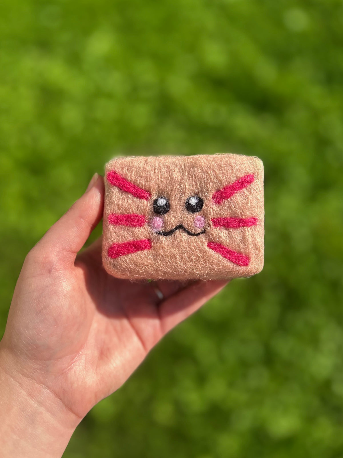 Felted Soap | Exfoliating Bar | Eco-Friendly Gift