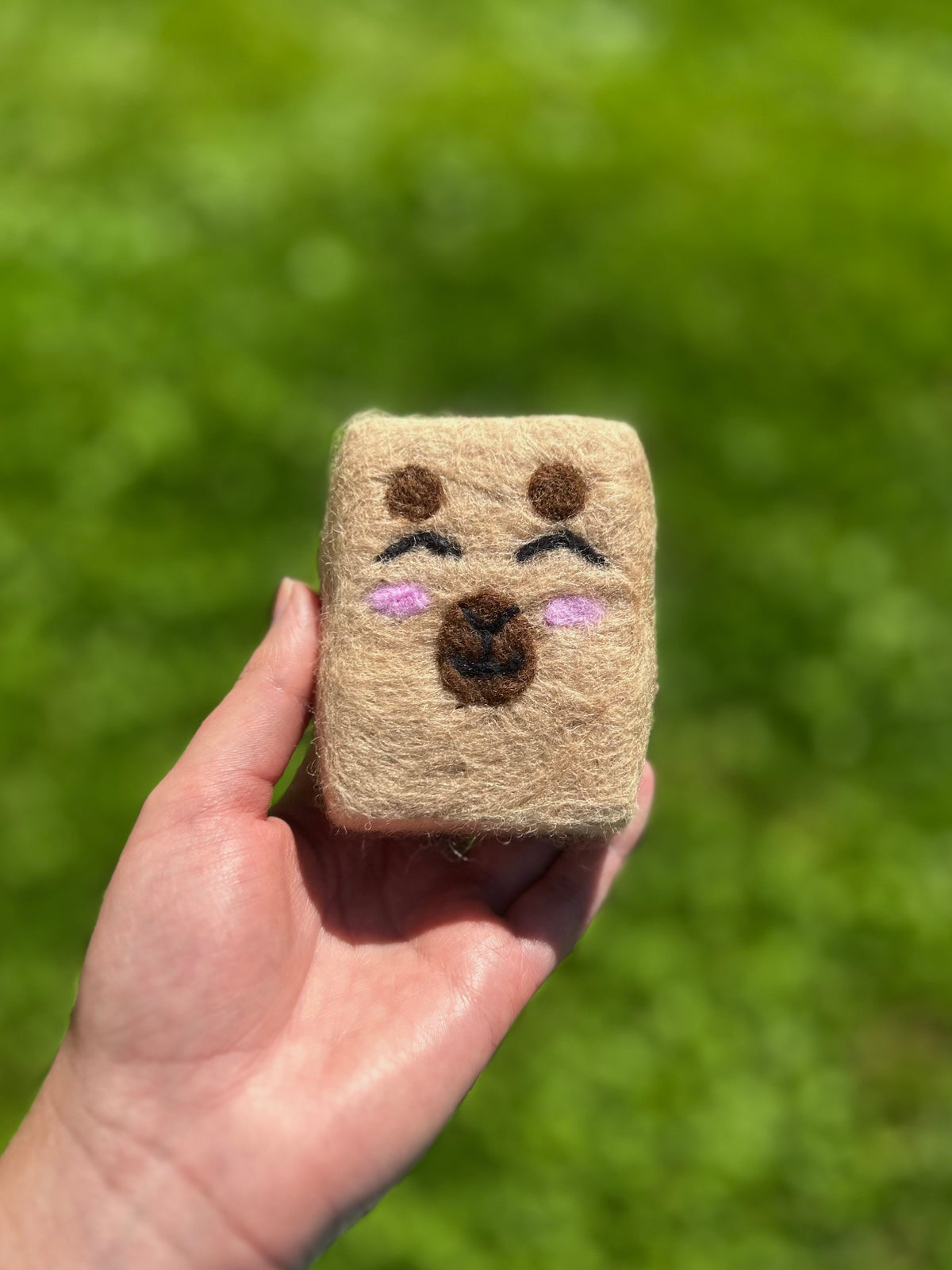 Felted Soap | Exfoliating Bar | Eco-Friendly Gift
